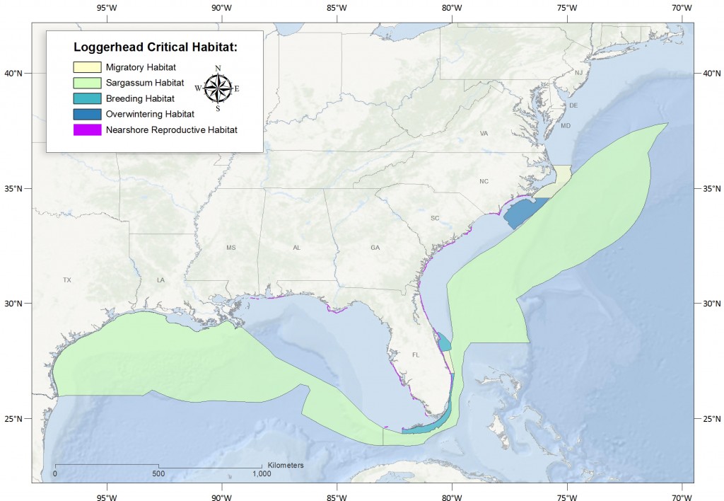 loggerhead_critical_habitat_map