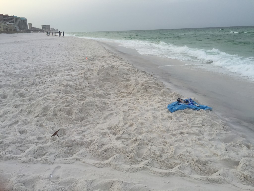 A Loggerhead found by Lisa and here is the Miramar gang, Sharon and her 4th of July hair was following the crawl.