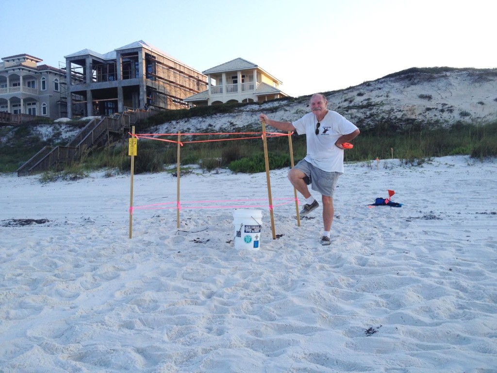 a loggerhead found by Al and this is Al jumping